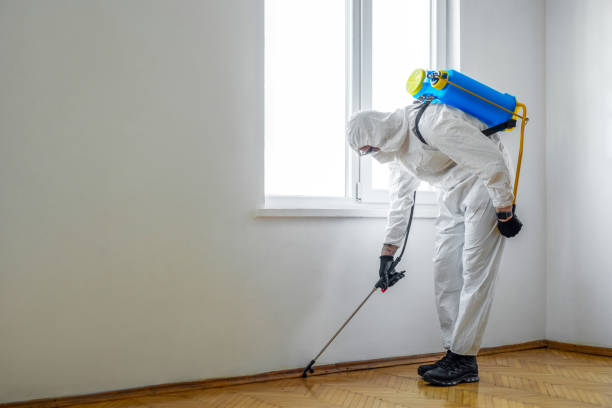 Best Best Pest Control Companies  in Abbeville, SC