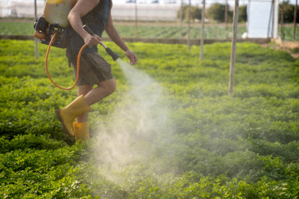 Best Exterminator Services  in Abbeville, SC