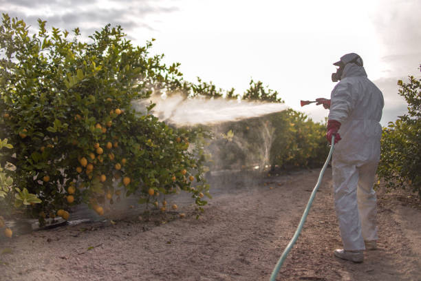 Best Emergency Pest Control  in Abbeville, SC