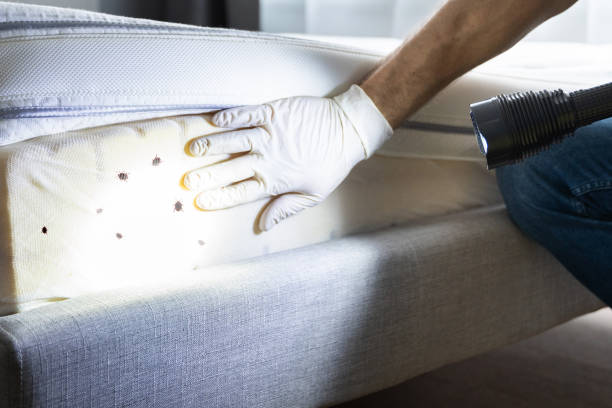 Best Best Pest Control Companies  in Abbeville, SC